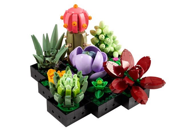 LEGO Icons Succulents